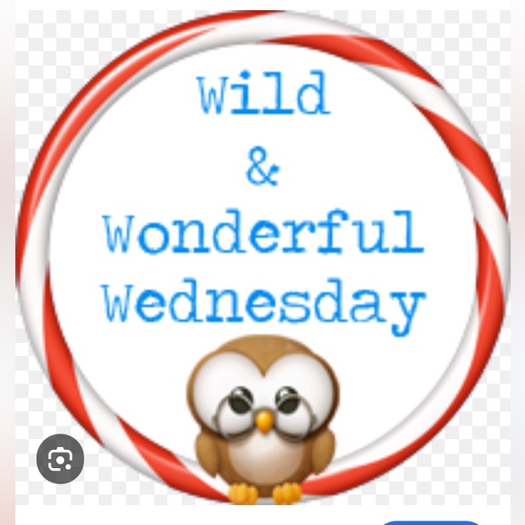 👗👗VINTAGE SHOW -FRI OCT 31 8am Cashmere Wool Silk Linen👗👗 - Picture 7 of 16